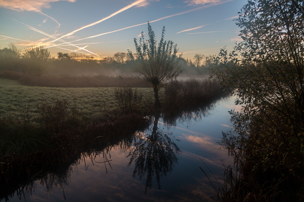 Beat the winter blues at London Wetland Centre this winter